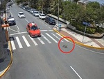 Chàng trai lộn lên nóc ô tô khi tài xế nhường đường cho chú chó