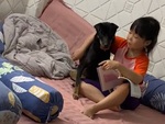 Chú chó 'chán không buồn nói' vì đang trông nhà tự nhiên bắt học