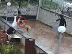 Thanh niên sợ dơ bẩn bị chú chó xô ngã xuống vườn