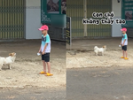 Bé trai hóa tượng khi bị chó ngáng đường