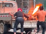 Thanh niên tài lanh suýt báo hại ông chú bỏng tay khi dập lửa bình gas