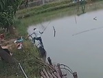 Cần thủ bị cá giật xuống ao