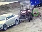 Chú chó 'khởi động' máy cày tông ô tô