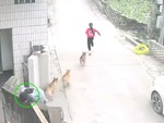 Hai bé gái hú hồn với 'chó nhà em ngoan lắm, không cắn ai đâu'