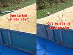Chủ sà lan giúp hai ông bà kéo thuyền vượt qua đám lục bình