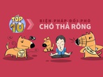 10 biện pháp 'kịch độc' đối phó chó thả rông