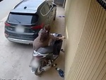 Cô gái 'não cá vàng' cố dắt xe SH lách qua khe cửa với ôtô
