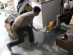 Chàng trai phản xạ xuất thần khi mèo đạp đổ gương