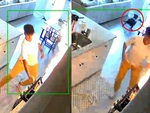 Chú chó hồn bay phách lạc lao ra cửa khi sen chiên cá