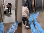 Cô gái bày binh bố trận để lùa chuột ra đường