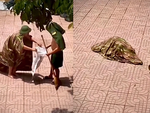 Chàng trai hóa thành phù thủy bắt ong cực hài