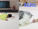 Chủ giả vờ ngất xỉu nhưng phản ứng của thú cưng nó lạ lắm