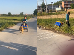 Thanh niên té sấp mặt vì hai chú chó cưng