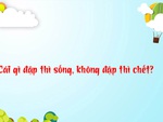 Đố vui: Cái gì đập thì sống, không đập thì chết