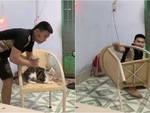 Chàng trai nhận 'quả báo' vì cướp ghế của mèo cưng
