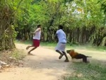 Hai thanh niên nhảy qua hàng rào thoát thân khi gặp chó dữ