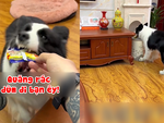 Chú chó osin phục vụ sen 'tận răng’