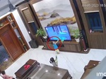 Bé trai đập cá mập trong tivi vỡ màn hình