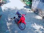 Chú chó sung sướng khi trộm được ổ bánh mì của sen vừa mua