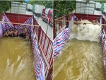 5 thanh niên 'uống no nước' khi biến thùng xe tải thành bể lướt sóng
