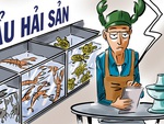 Khảo sát cho thấy sinh viên làm đúng chuyên ngành đào tạo