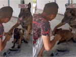 Chó mẹ năn nỉ ông chủ đừng trách phạt khi cún con cắn dép