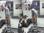 Chú chó hiểu chuyện, biết giữ ghế cho cô chủ lau đèn trần