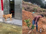 Chú chó hiểu chuyện, biết mang cơm ra đồng cho ông chủ