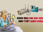 Chim ưng gọi đại bàng: Hãy tiết kiệm điện ngay!