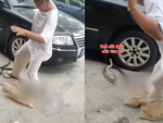 Video hài nhất tuần qua: Con rắn hoảng sợ khi cô gái la hét