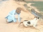Chàng trai đeo mặt nạ sói đi hù dọa chó