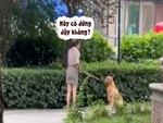 Chú chó xin lỗi rối rít vì làm cô chủ giận