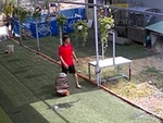 Chàng trai thất thần khi chim sổ lồng bay mất