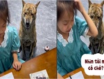 Chú chó thông minh nhắc bài giúp cô chủ làm toán