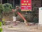 Chú chó nghịch dại, kẹt đầu vào ống nhựa