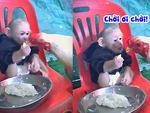 Gà bị khỉ táp mỏ vì tội ăn uống hàm hồ