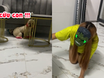 Hai chú cún bị chủ đeo mặt nạ hù dọa chạy té khói