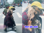 Chú chó được sen lên đồ, ngồi xe dạo phố
