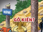 Phát hiện một loài chim gõ kiến khủng