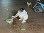 Cô gái ngượng đỏ mặt khi trổ tài vẩy rau