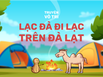 Lạc đà đi lạc trên Đà Lạt
