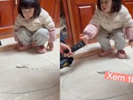 Bé gái sung sướng khi quay vào ô 'xem tivi'