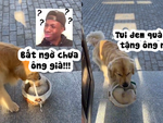 Ông chủ hoảng hồn với 'món quà' của chú chó đi chơi 3 tháng mới về