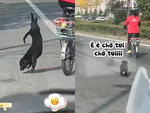 Chú cún chạy thục mạng vì bị cô chủ 'đánh rơi'