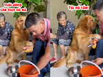 Chú cún năn nỉ ông chủ đừng làm thịt cá