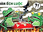 Trái đất 'mát' và đàn ếch luộc