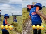 Màn bắt rắn lỗi siêu hài của cậu bé