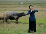 Nữ ca sĩ hốt hoảng vì ngỡ trâu rượt khi quay MV ở cánh đồng