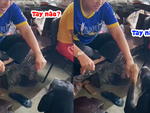 Chú chó chơi trò tập tầm vông với cô chủ