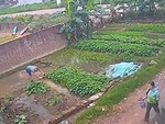 Người đàn ông say rượu đánh vật dưới ruộng nước